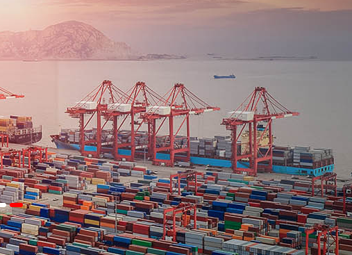 上海进口报关公司能为企业提供哪些服务？