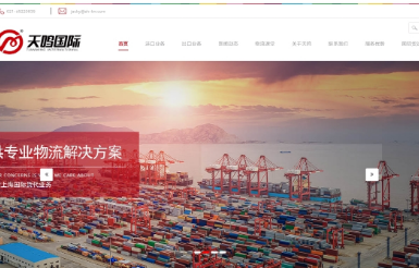 关于上海国际海运的可行性分析