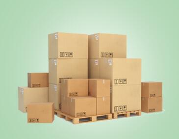 进口海运代理发展快的原因