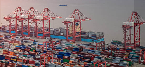 专业进出口代理公司